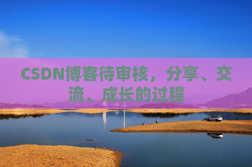 CSDN博客待审核，分享、交流、成长的过程